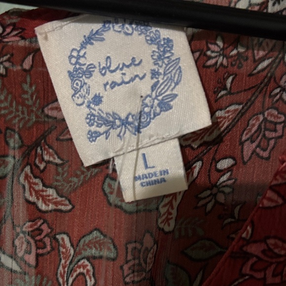 Blue Blush Red Floral Mini Dress - Picture 3 of 6